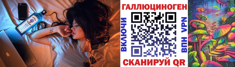 Купить где  Черепаново  Псилоцибиновые грибы GOLDEN TEACHER 