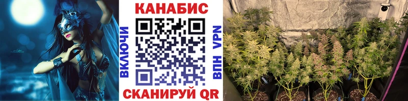 Купить  Черепаново  Шишки марихуана конопля 